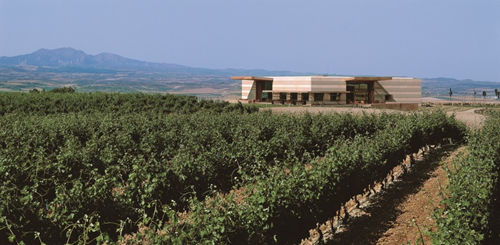 Campo Viejo
